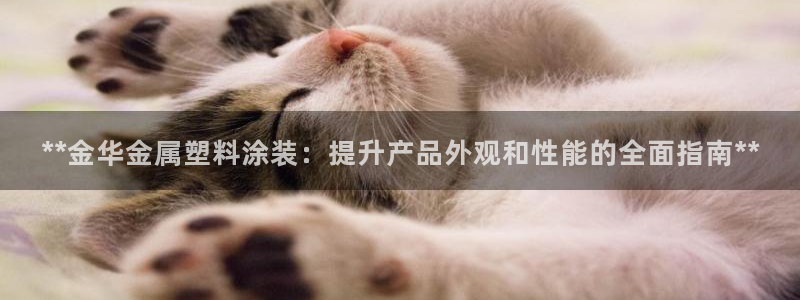 美高梅何超琼持股