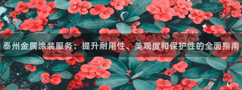 美高梅何超琼