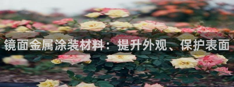 美高梅金卡匹配
