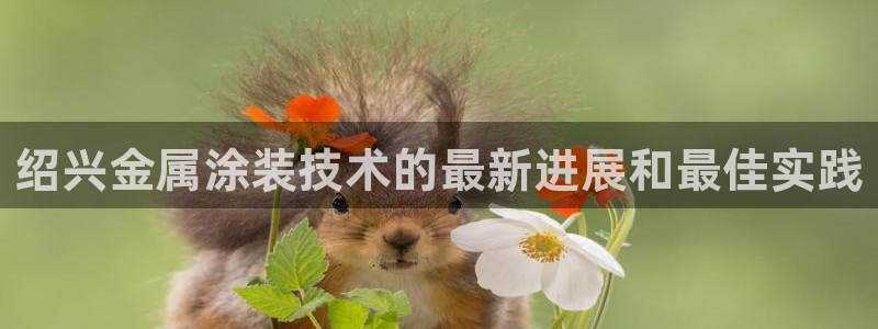 美高梅酒店小梅沙