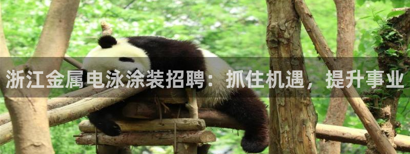 美高梅娱乐直营