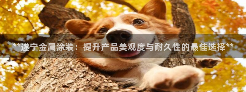 美高梅怎么打不开了