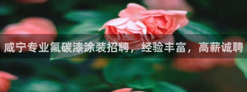 美高梅是干什么的