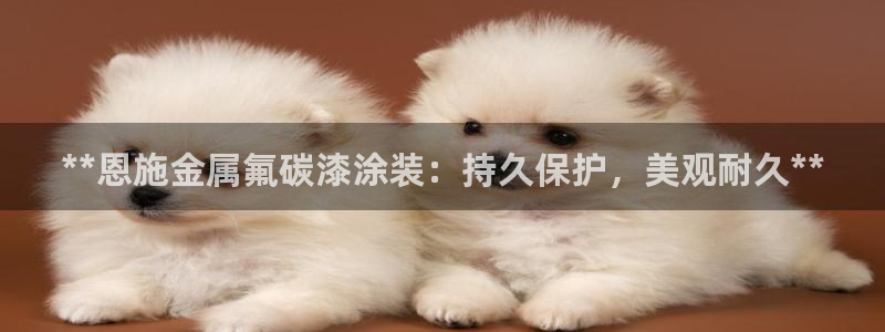 美高梅官网了