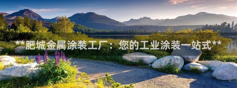 美高梅公司发展历程