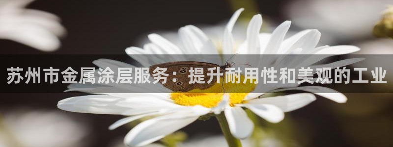 鲁能钓鱼台美高梅别墅二手房