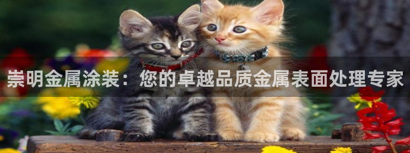 美高梅官方版app充值方法