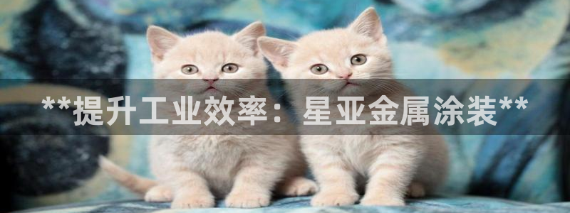 美高梅酒店可以赶海吗