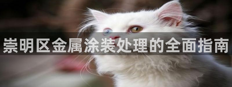 美高梅天幕广场表演