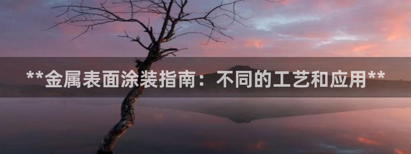 美高梅酒店集团简介