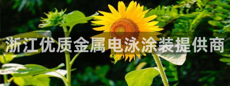 鲁能钓鱼台美高梅公馆别墅