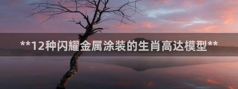 美高梅小梅沙招聘
