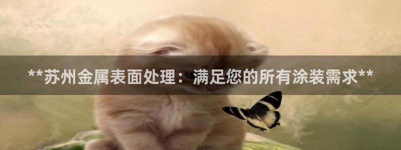 美高梅旁边还有什么酒店