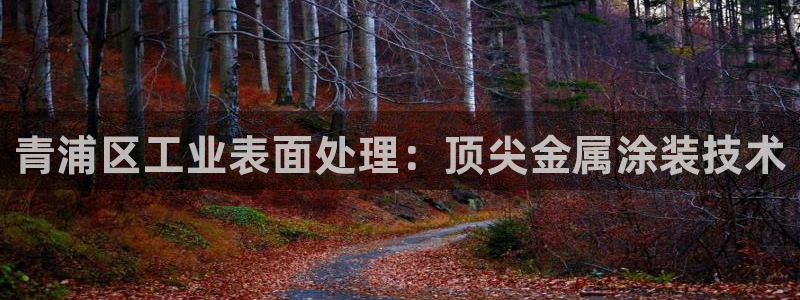 美高梅官网版是正品吗