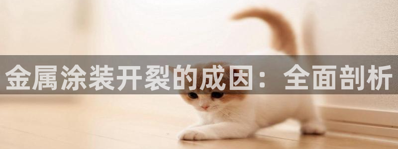 美高梅在澳门有几家分公司