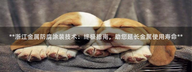 美狮美高梅酒店开业时间