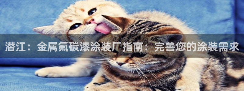 美高梅冻结账号要怎么解除