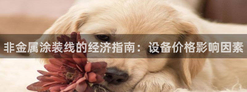 美狮美高梅酒店英语