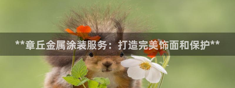 美高梅网络科技有限公司