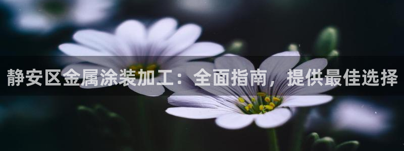 美高梅会员卡有啥用