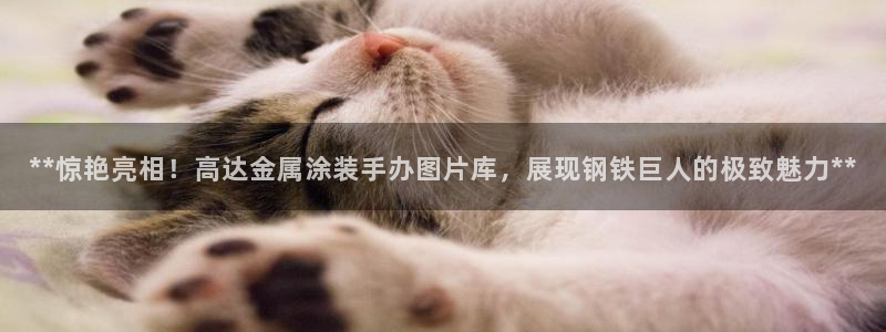美高梅酒店小梅沙