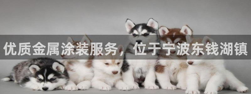 美高梅会员卡有效期多久