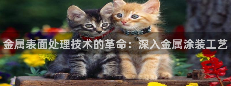 美高梅官网线路通畅