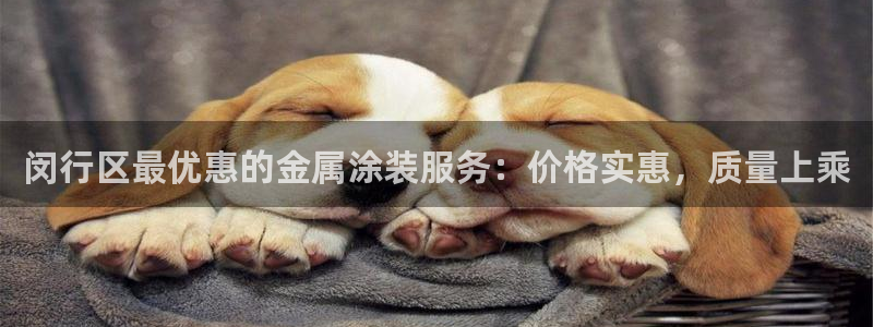 美高梅属于哪个公司