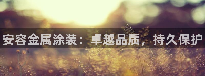 美高梅国际酒店集团介绍