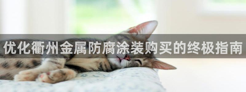 美高梅公司老板是谁