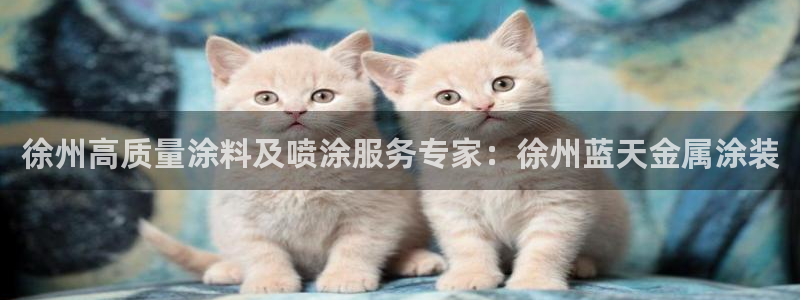 美高梅是谁的股东