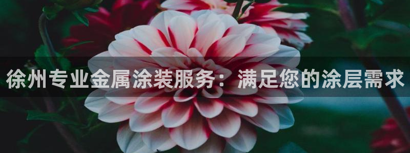 美高梅现金网