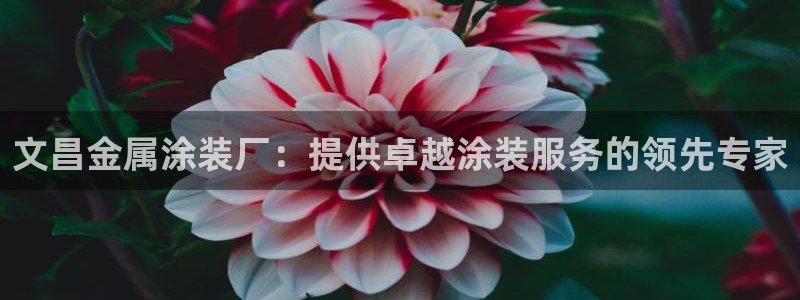 美高梅酒店北京店地址