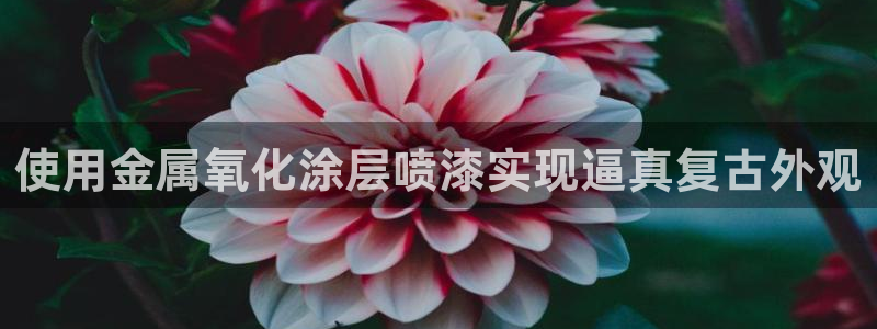 美高梅酒店澳门几星级