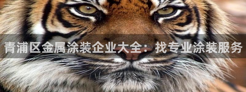 美高梅会员卡原始密码是多少