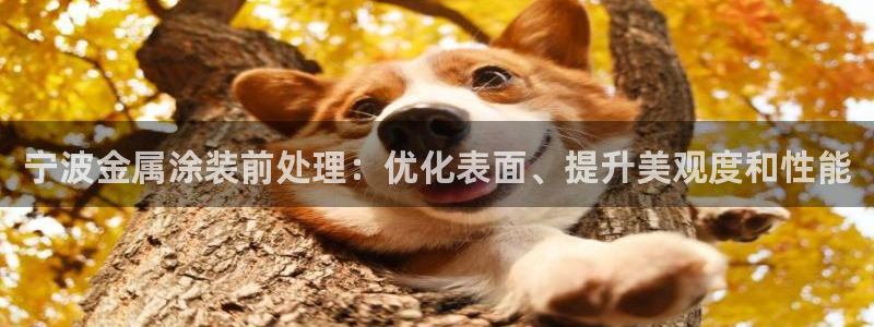 美高梅会员卡怎么注销