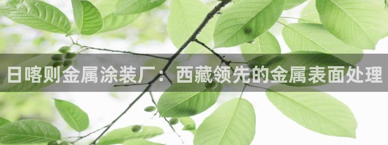 美高梅会员卡怎么办理