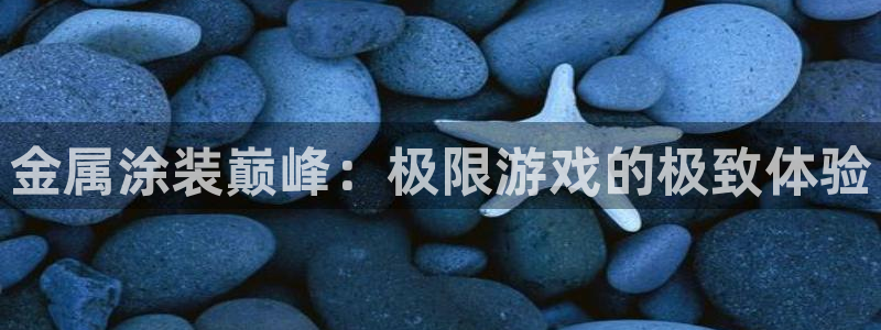美高梅酒店会员卡级别