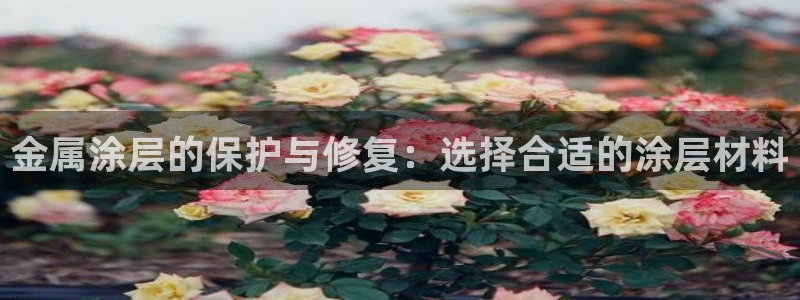 美高梅空中海洋秀