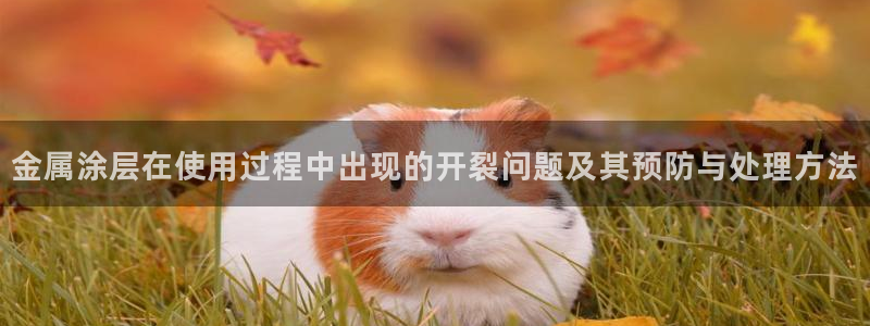 美高梅酒店拖鞋