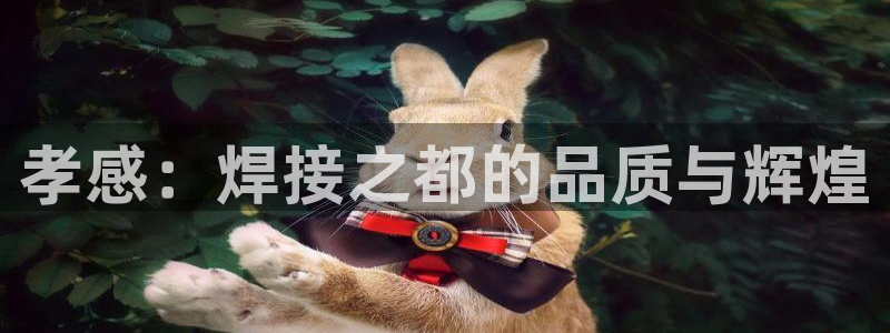 美高梅和米高梅是什么关系