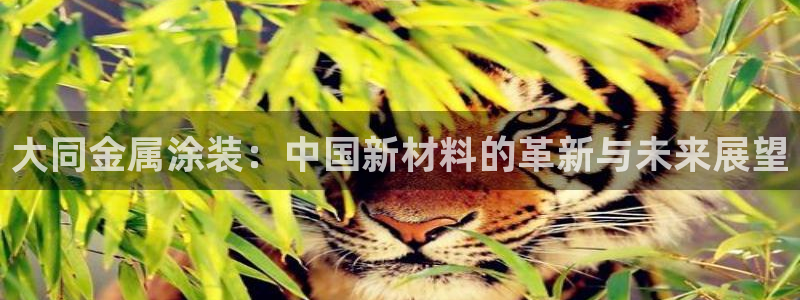 美狮美高梅酒店集团