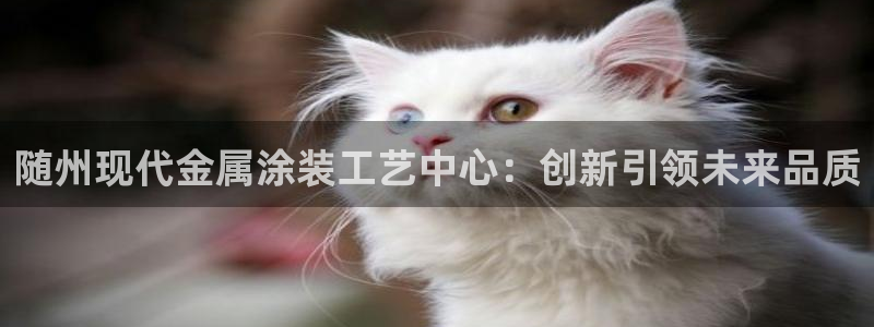 美高梅集团总部在哪