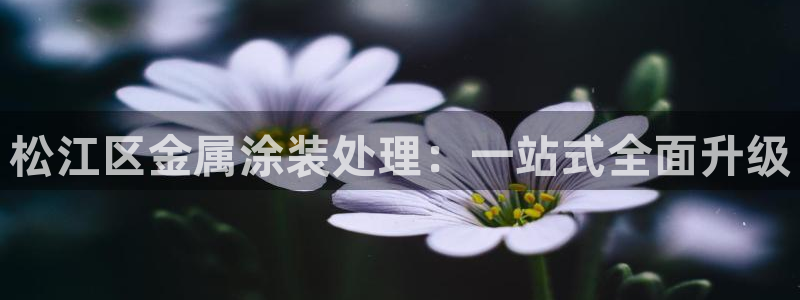 美高梅会员怎么绑定