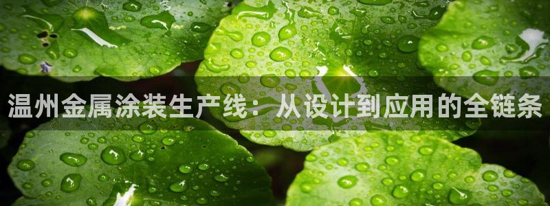 美高梅酒店自助早餐攻略