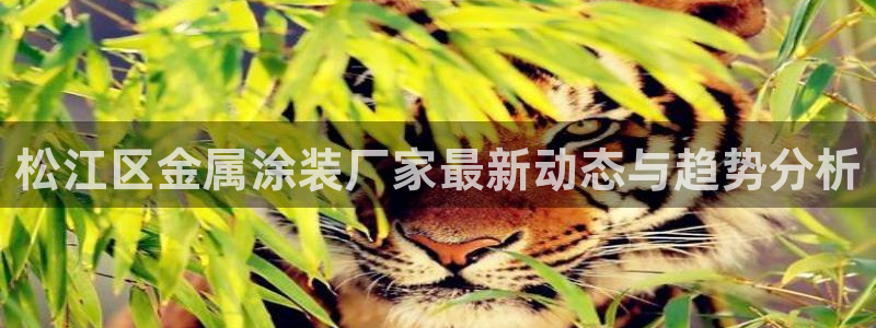美高梅是上市公司吗