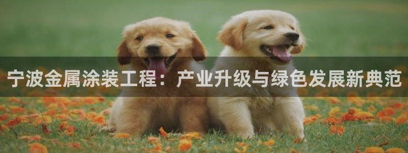 美高梅酒店旗下