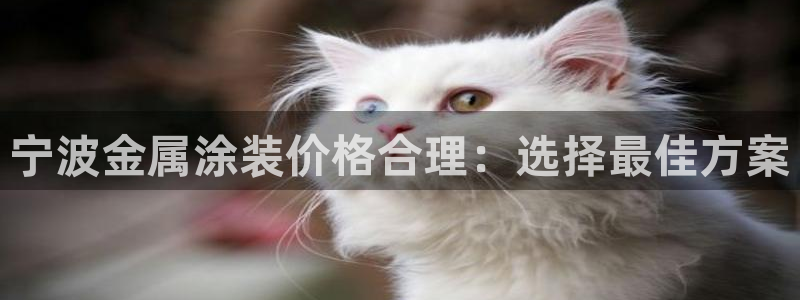 美高梅的老板是何超莲吗