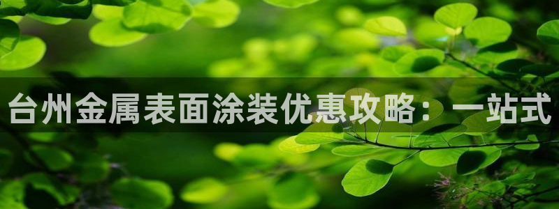 美高梅公司的业务范围