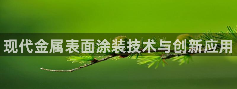 美高梅大酒店简介：现代金属表面涂装技术与
